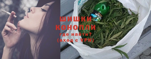 дмт Заводоуковск