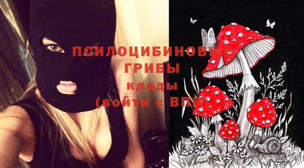 твердый Заволжье