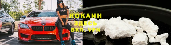 дмт Заводоуковск