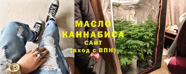 дмт Заводоуковск