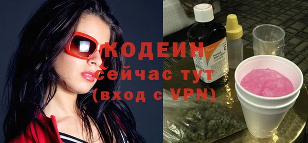 дмт Заводоуковск