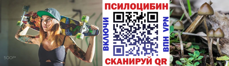 Купить закладки  Велиж  Псилоцибиновые грибы мухоморы 